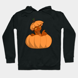 Pumpkin Dragon Hoodie